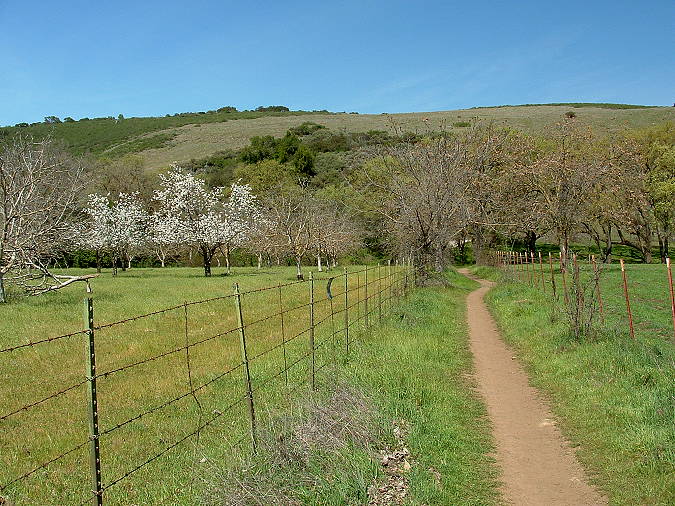 Calero Creek Trail