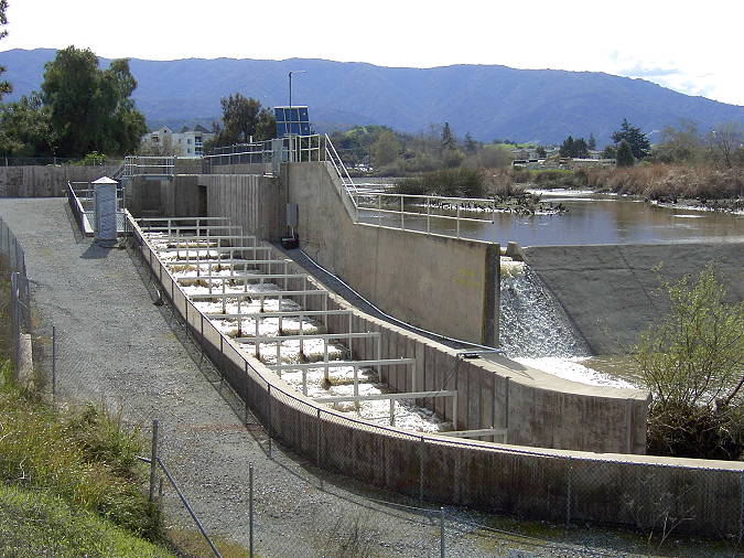 Fish ladder