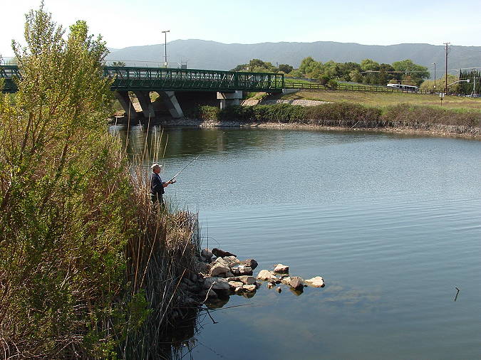 Bridge by Coleman Rd