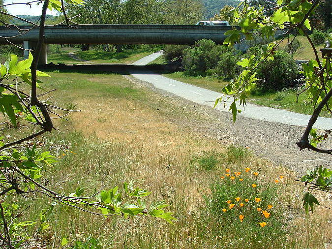 Almaden Expressway Bridge