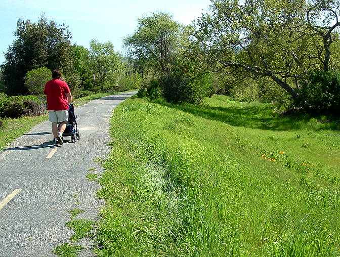 Trail on the east side of Alamitos Creek