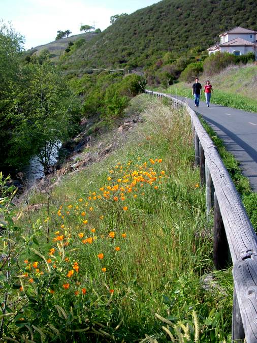 The Los Alamitos Creek Trail near Pfeiffer Ranch Road