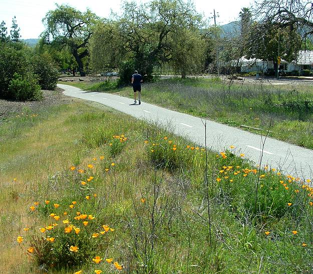 Lower trail near Carrabelle Park