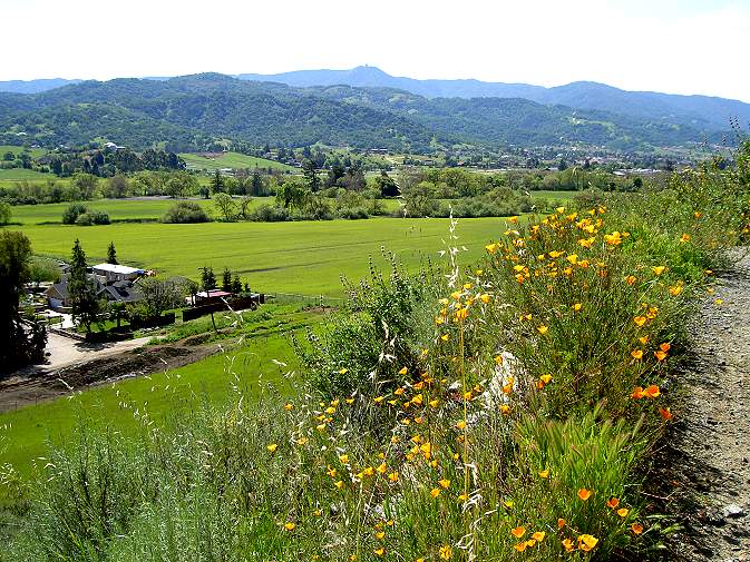 View from the Stile Ranch Trail