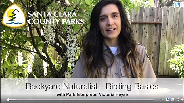 Backyard Naturalist Video