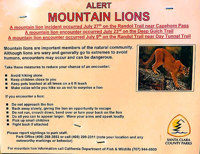 Mountain lion warning sign