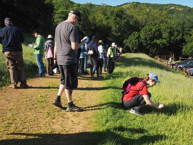 BioBlitz 4/13/19
