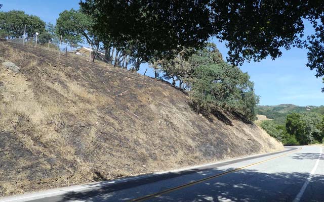 Alamitos Fire, 7/9/19